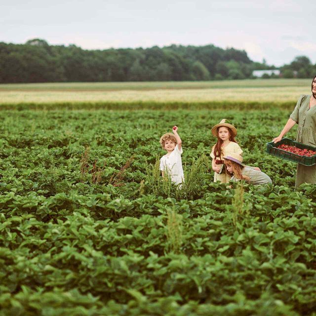 Food production that’s sustainable for families